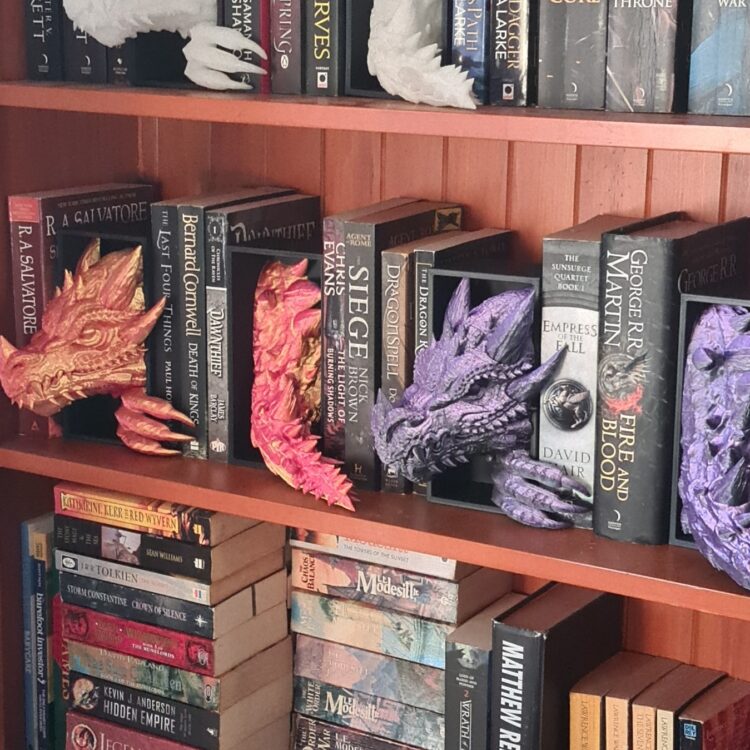 Dragon Head and Tail Booknook